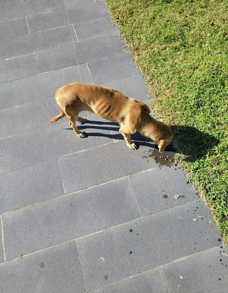 old lady onlyfans beautiful xxx img