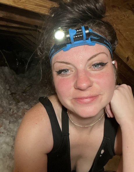 MudslinginTrainwreckVIP art pornstar pic