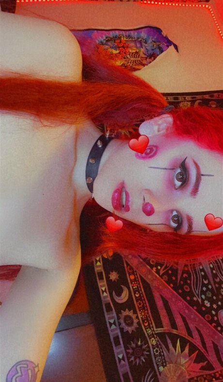 peach taste star pictures