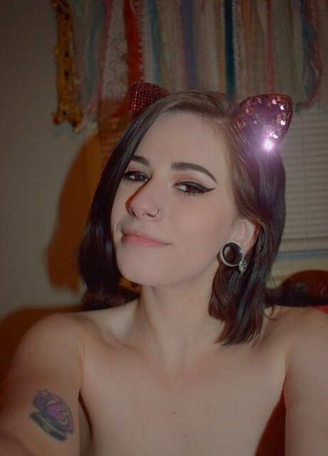 peach taste perfect pornstar galleries