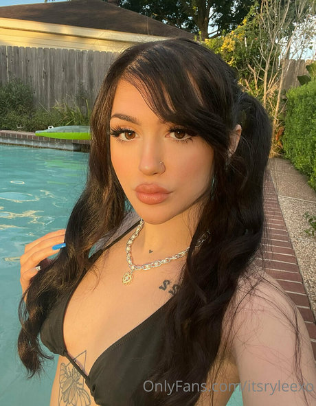 itsazaleaxo star art galleries