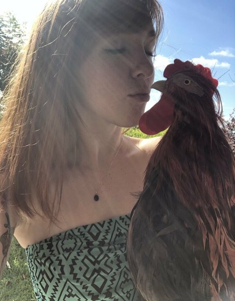 lilyevansfree sexy actress images