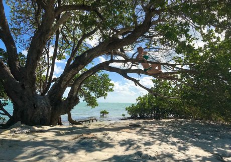 bbc doggystyle onlyfans free sex image