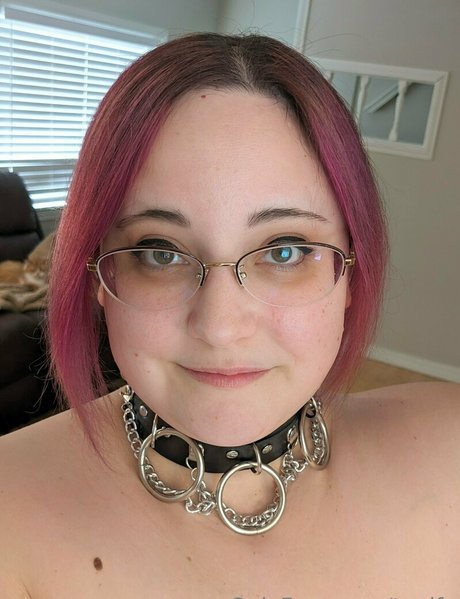 taglfg free star archive