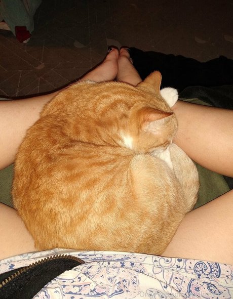 aprilrose1992 hot actress pictures