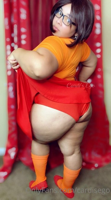 cardisego star sexy gallery