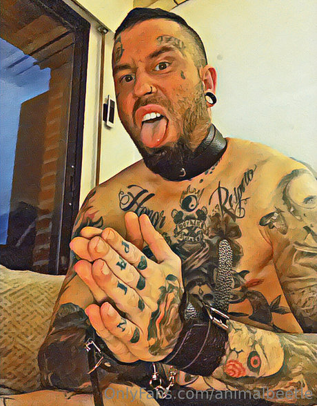 animalbeetle star nice pictures