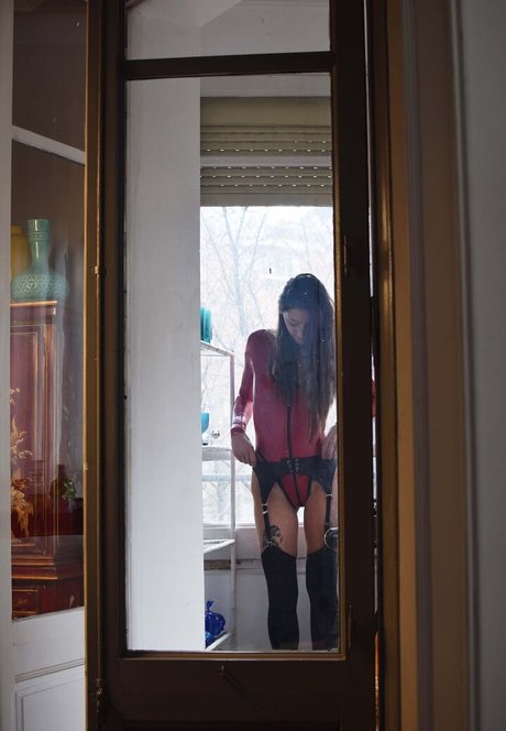 Shinetight nice star photos