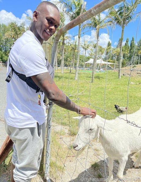 freestylebender pornstar high quality photo