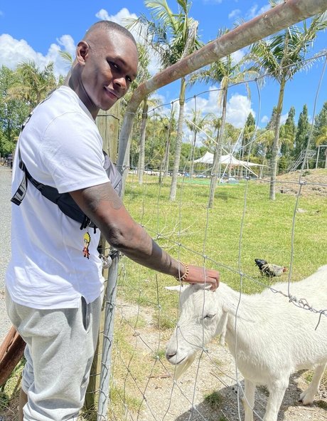 freestylebender model high quality picture