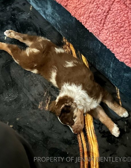 feet tease onlyfans free xxx pics