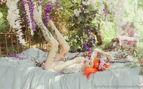 ondreeahfree star free photos