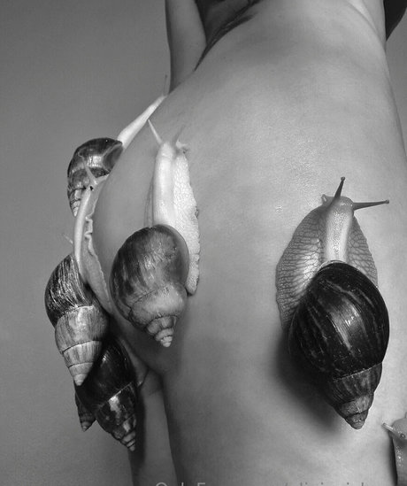 oliviezizkova perfect star galleries