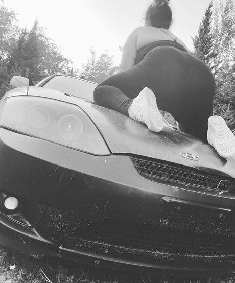 breahbear33 top star images