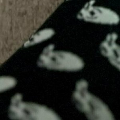 jordanhead pornographic star picture