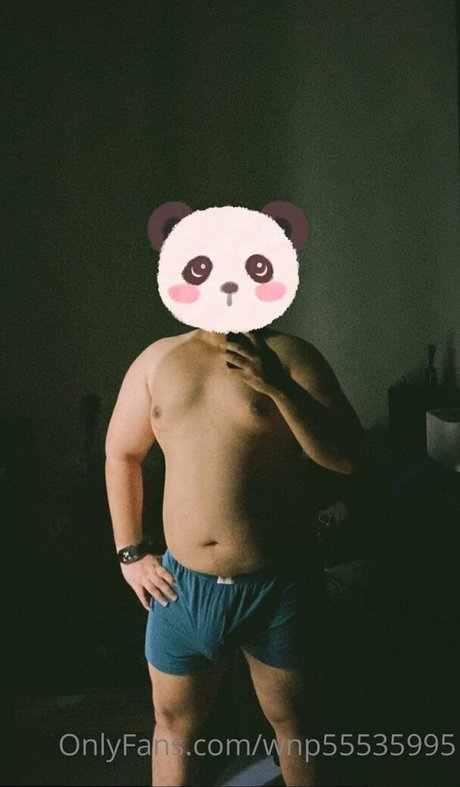 wnp55535995 star best photo