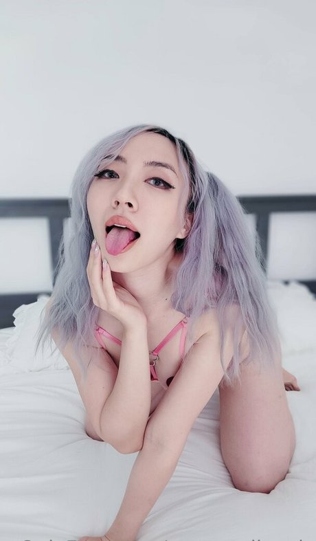 morestellewds erotic pornstar images