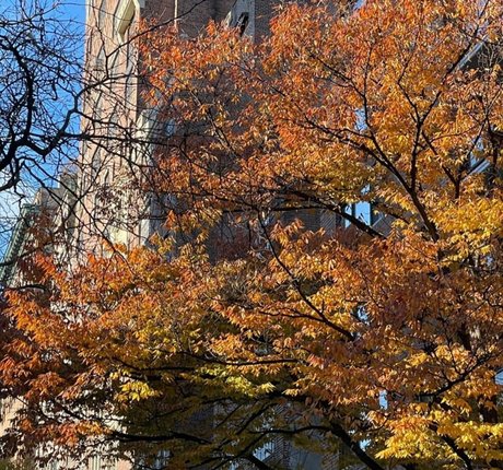 stepdaughter onlyfans art porn photos