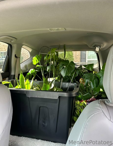 squat onlyfans porno galleries