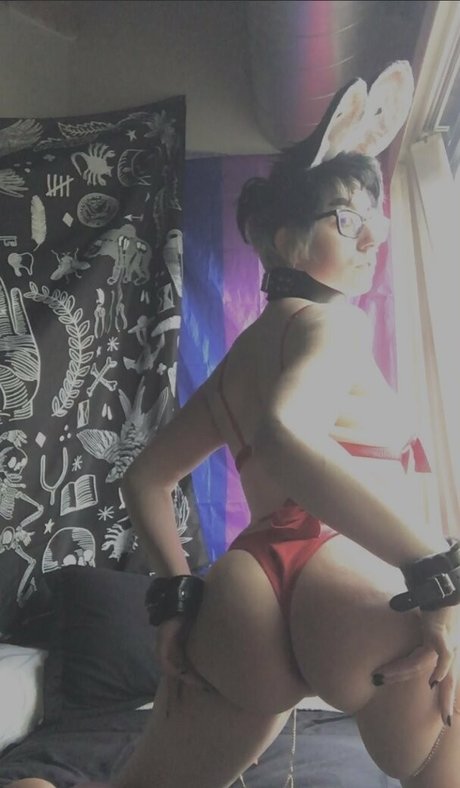 catboibloosy star gallery