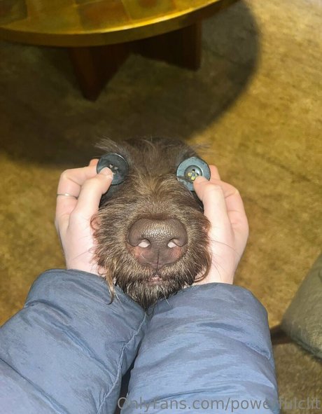 powerfulclit beautiful actress pictures