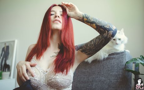 Cvrmillv erotic star gallery