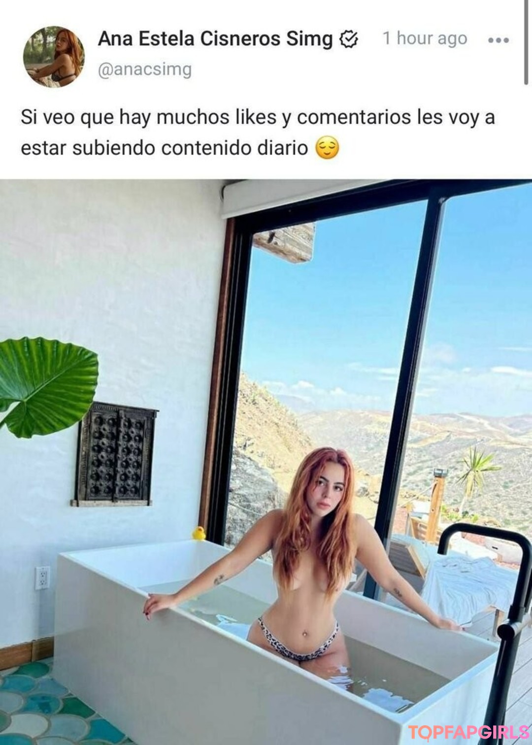 anacsimg model art img