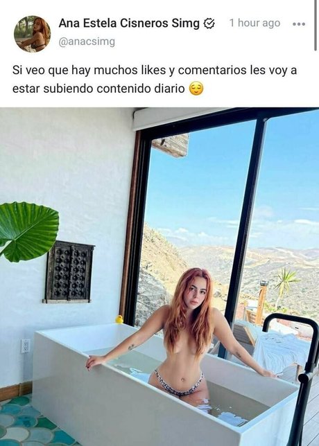 anacsimg model art img