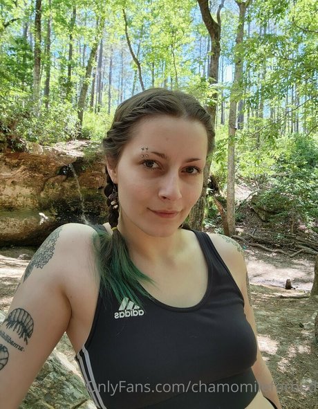 chamomileforbed star best galleries