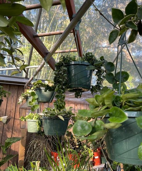 natnevv top pornstar photos