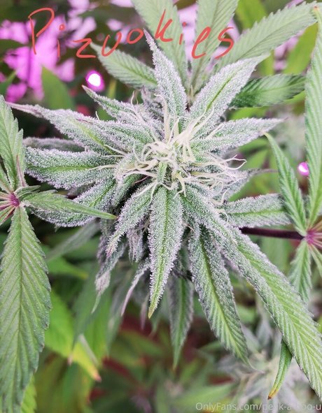 peek a boo u nudes model galleries