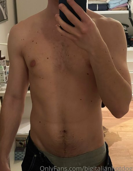 bigitalianhotdog exclusive pornstar galleries