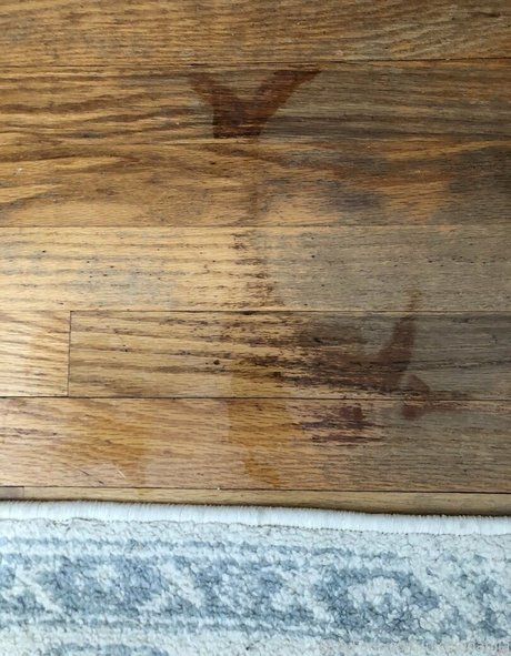 Nicoledahlia pornstar beautiful photos