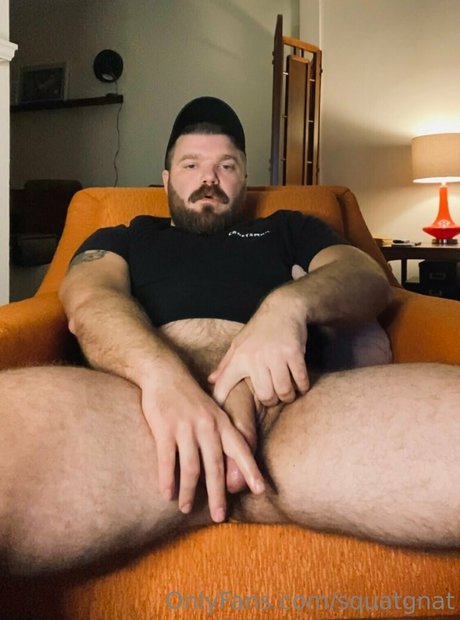 squatgnat star art img