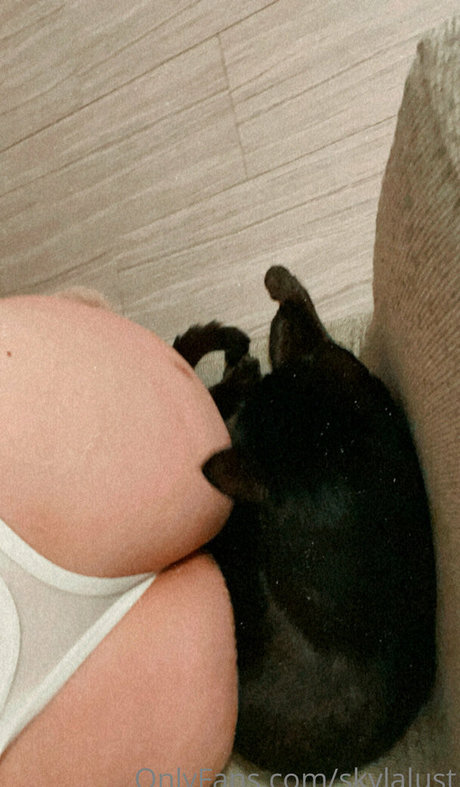 hquinn la top pornstar images