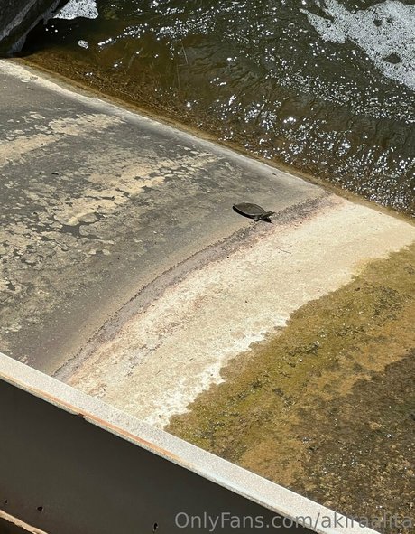 akiraalita pornstar nude archive