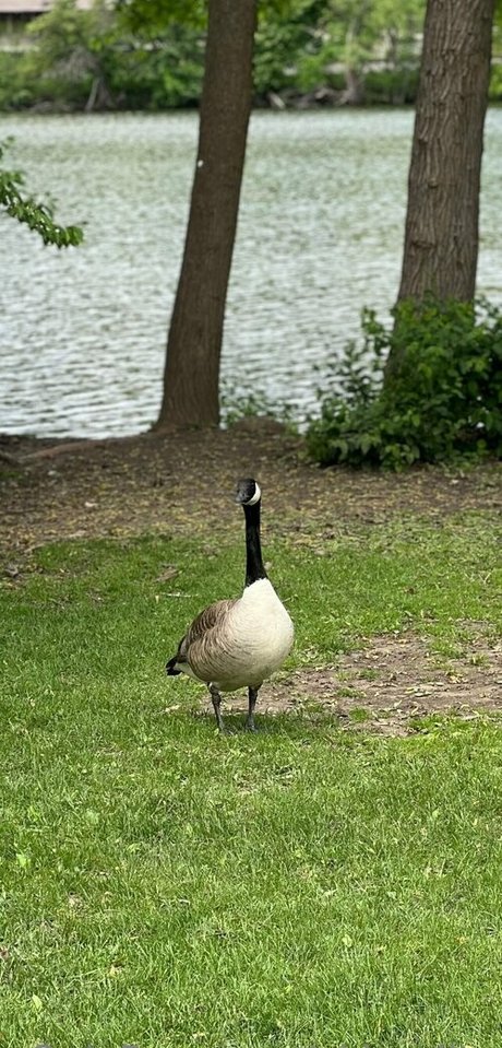 akiraalita hot model pics