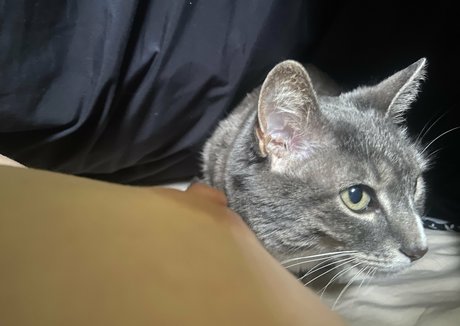 feetiesmysweeties pornstar erotic image