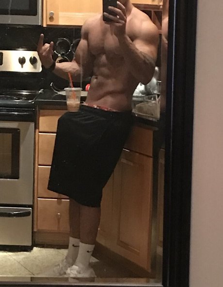 thefackelmayer best star galleries