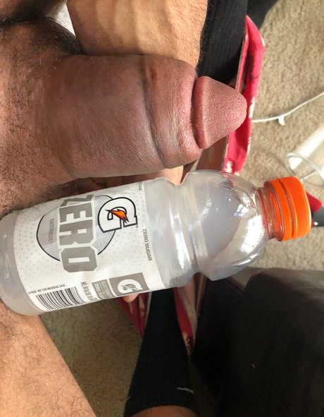 thefackelmayer star pretty gallery