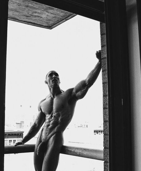 thefackelmayer art pornstar pics