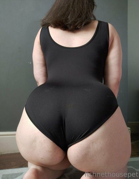 fishnethousepet sexy model galleries