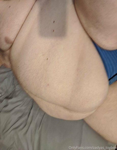 zadyas toybox art model pic