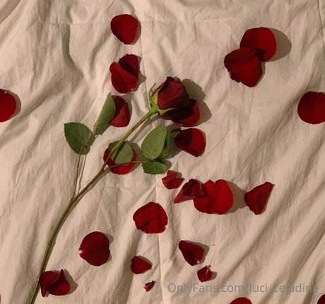 luci celadine_ star sex picture