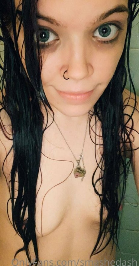 smashedash model art image