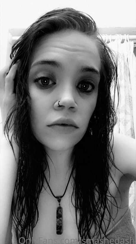 smashedash free model image