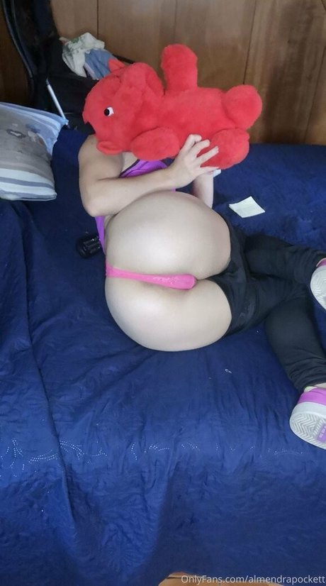 almendrapockett hot star galleries