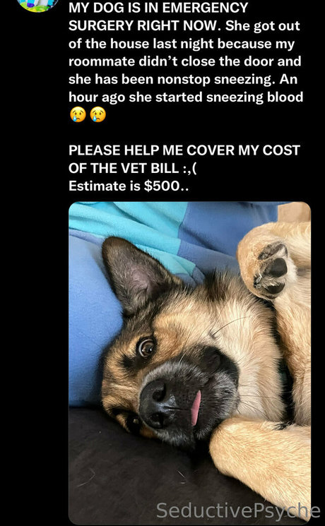 fat girls onlyfans xxx galleries