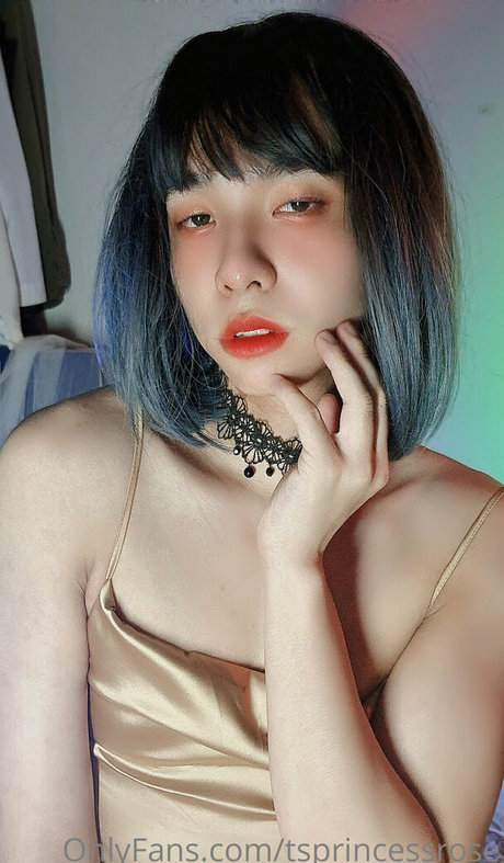 TSprincessRose hot pornstar galleries