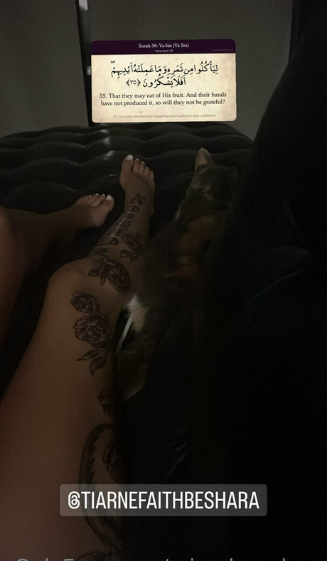 misschaneloxo pornstar nice images